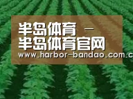 种植基地六