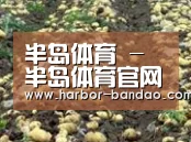 种植基地七
