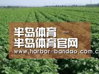 种植基地五