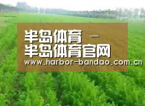种植基地四