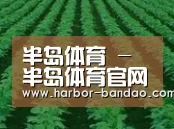 种植基地六(图1)