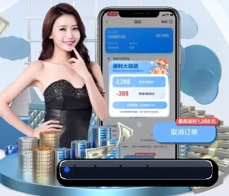半岛体育 APP