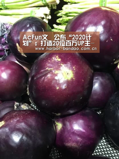 AcFun文旻公布“2020计划”:打造20位百万UP主-半岛体育平台(图2) 半岛体育