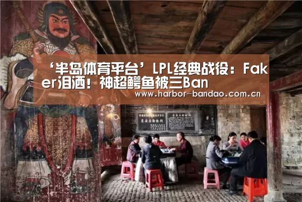 半岛体育平台
