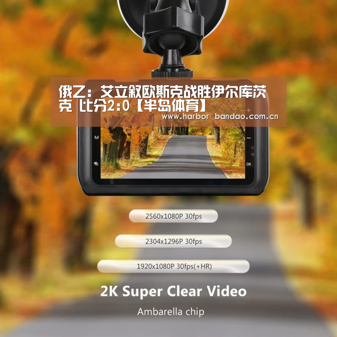 半岛体育