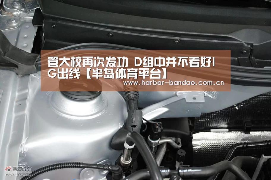 管大校再次发功 D组中并不看好IG出线【半岛体育平台】(图3) 半岛体育平台